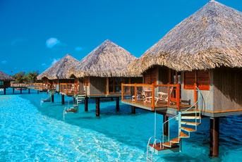 Exotic Honeymoon