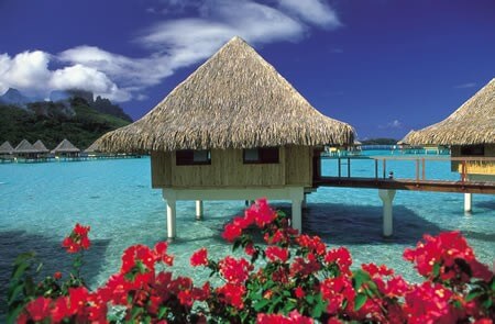 Paradise Dreams