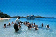 Fiji Specials