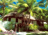 Fiji Specials
