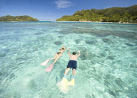 Fiji Specials